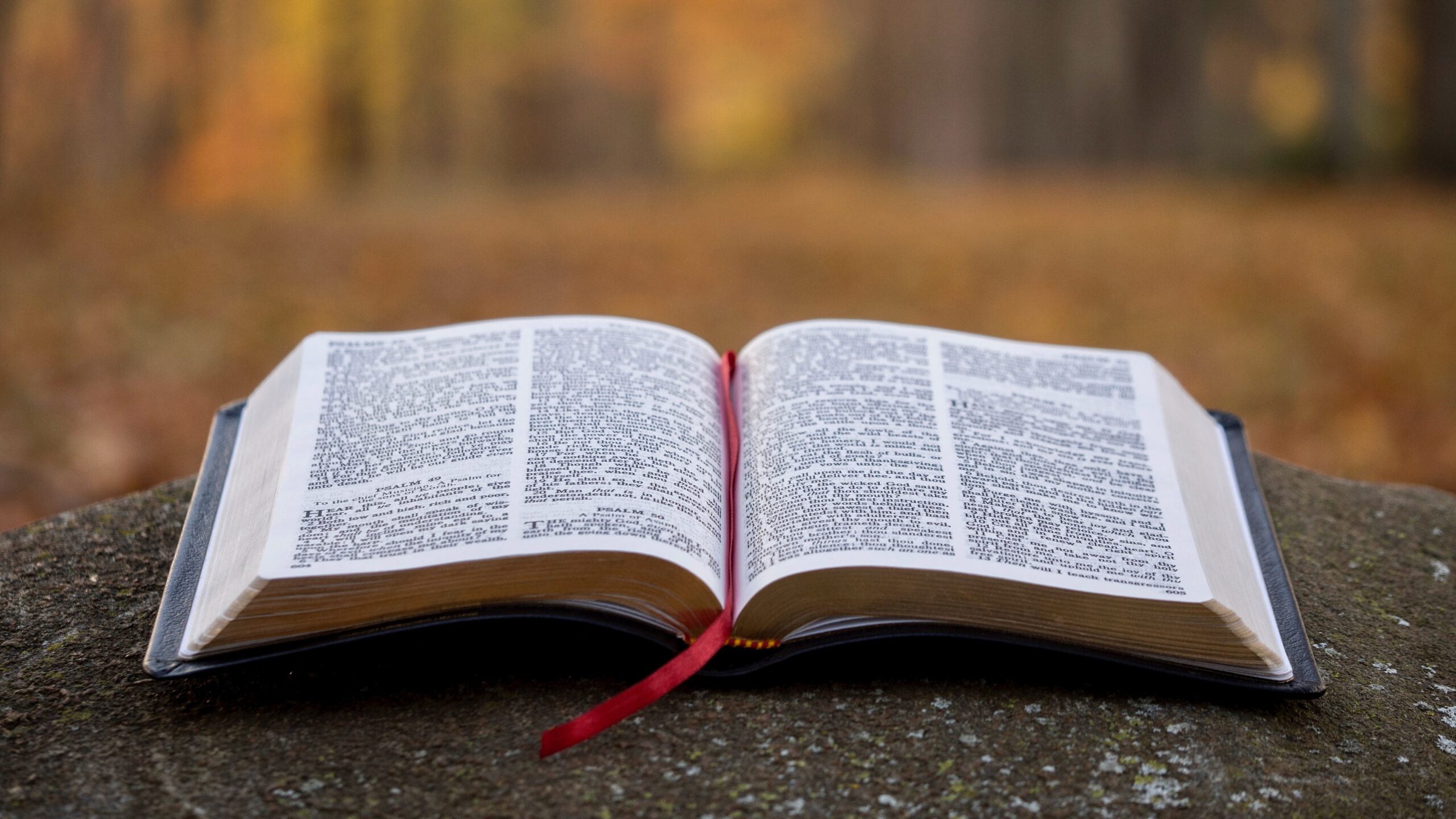 Bible in the Middle