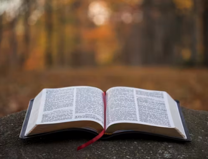 Bible in the Middle